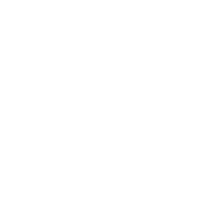 logo ENEDIS blanc