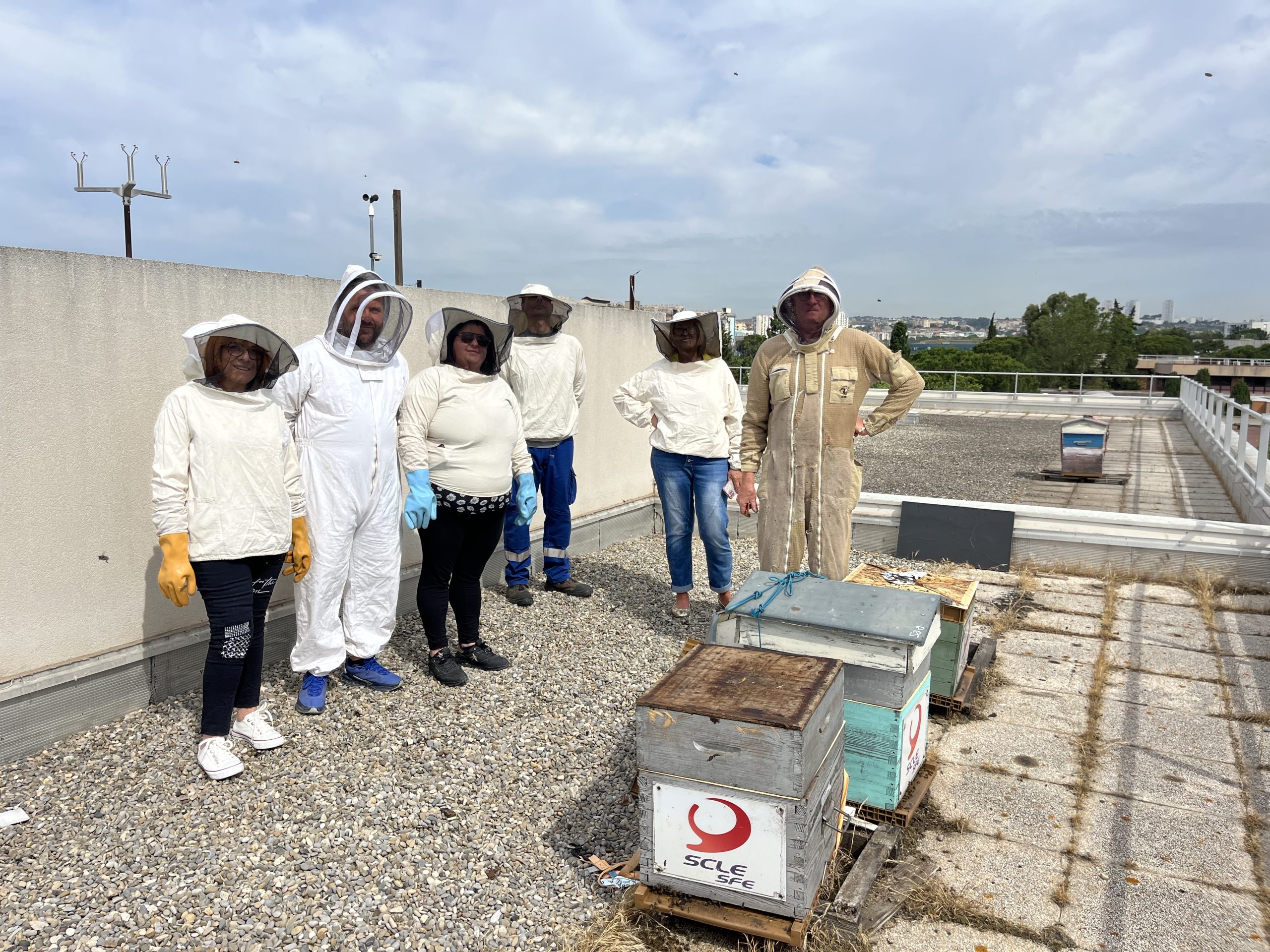 Découverte du fonctionnement des ruches sur le toit de l'agence, par un groupe de collègues lors de la journée développement durable